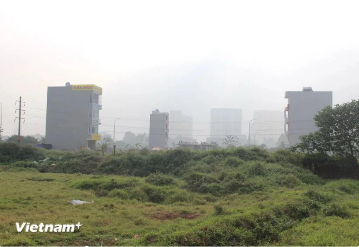 Doanh nghiệp bị thu hồi hơn 5.800 m2 đất do vi phạm quy định sử dụng đất