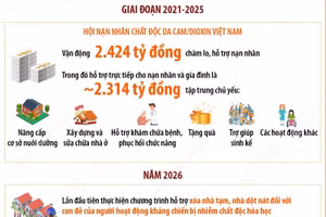 Chăm lo lâu dài cho nạn nhân, gia đình nạn nhân chất độc da cam/dioxin