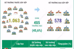 Tuyên Quang giảm 45,6% số cơ sở giáo dục công lập sau sắp xếp