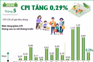 Nắng nóng làm tăng chi phí sinh hoạt, CPI tháng 5 nhích lên 0,29%