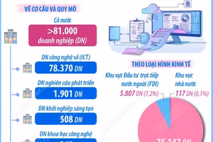 Doanh nghiệp công nghệ số giữ vai trò chủ lực trong hệ sinh thái đổi mới..