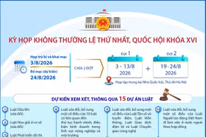 Kỳ họp không thường lệ thứ Nhất, Quốc hội khóa XVI
