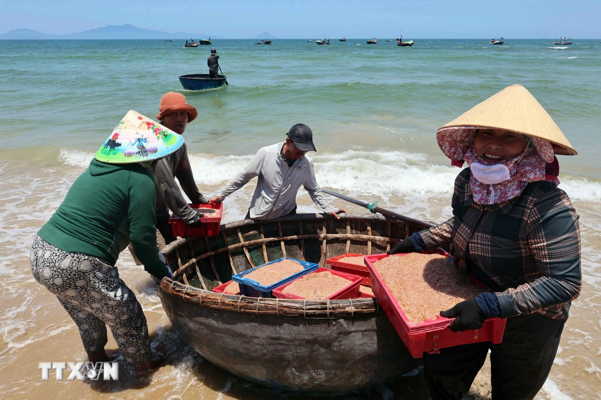 Ngư dân Đà Nẵng phấn khởi trúng đậm vụ khai thác rươi biển