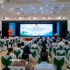 Toàn cảnh Hội nghị Tổng kết công tác chỉ đạo chuyên môn kỹ thuật, triển khai Đề án Phát triển mạng lưới bệnh viện vệ tinh giai đoạn 2026 - 2030 và định hướng công tác y học gia đình. (Ảnh: Thanh Phong/Vietnam+)