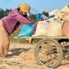 Đà Nẵng: Nông dân thẫn thờ nhìn cát phủ kín vụ mùa ở Gò Nổi 