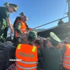 Thuyền viên bị nạn được Hải đội Biên phòng 2, Bộ đội Biên phòng Đà Nẵng đưa về bờ an toàn. (Ảnh: PV/Vietnam+)