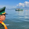 Bộ đội Biên phòng Đà Nẵng ra quân cao điểm chống khai thác IUU. (Ảnh: Thanh Phong/Vietnam+)