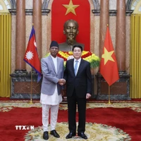 Chủ tịch nước Lương Cường với Đại sứ Cộng hòa Gabon tại Việt Nam Baudelaire Ndong Ella trình Quốc thư. (Ảnh: Lâm Khánh/TTXVN)