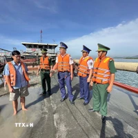 Lực lượng chức năng kiểm tra hàng hóa trên phương tiện ĐN 1233. (Ảnh: TTXVN phát)