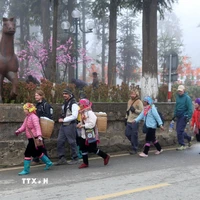 Khách du lịch quốc tế tại Sa Pa. (Ảnh: Quốc Khánh/TTXVN)