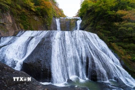 Thác Fukuroda cao khoảng 120m và trải dài trên 4 tầng đá, nên còn được gọi là "thác 4 tầng". (Ảnh: Xuân Giao/TTXVN)