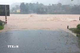 Nhiều ngầm tràn tại Quảng Trị bị ngập sâu trong nước. (Ảnh: TTXVN phát)