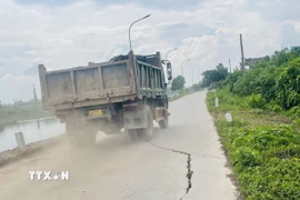 Phương tiện hàng ngày vẫn lưu thông qua những đoạn đê sông Nhuệ (xã Chuyên Mỹ) bị rạn nứt ảnh hưởng lớn đến an toàn đê. (Ảnh: Tuyết Mai/TTXVN)