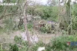 Siêu bão dồn dập năm 2025 và cảnh báo khẩn về nhu cầu “lá chắn” khí hậu