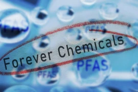 Ảnh minh họa. (Nguồn: iStock)