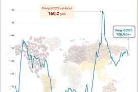Chỉ số giá lương thực thế giới tiếp tục giảm trong tháng 10 của 2025
