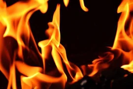 Ảnh minh họa. (Nguồn: thehindu)