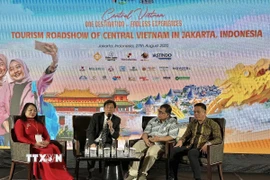 Các diễn giả cung cấp nhiều thông tin cho doanh nghiệp du lịch Indonesia và Việt Nam. (Ảnh: Đỗ Quyên/TTXVN)