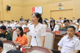 Đại biểu thảo luận tại kỳ họp. (Ảnh: Đinh Thùy/TTXVN)