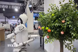 Robot giúp thu hoạch hoa quả được trưng bày tại Hội nghị Robot thế giới 2025 thúc đẩy phát triển công nghiệp robot, Bắc Kinh, Trung Quốc. (Ảnh: Công Tuyên/TTXVN)