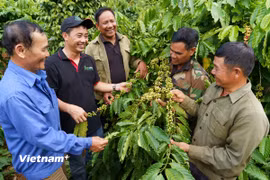 Nestlé đồng hành cùng hàng triệu người lao động Việt Nam.