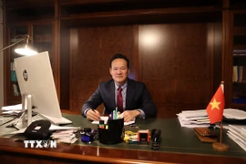 Đại sứ Mai Phan Dũng, Trưởng Phái đoàn Việt Nam tại Geneva. (Ảnh: Anh Hiển/TTXVN)