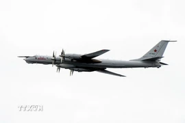 Máy bay trinh sát Tupolev TU-142 của Nga. (Ảnh: AFP/TTXVN)