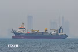 Tàu chở hàng thả neo ngoài khơi bờ biển Các tiểu vương quốc Arab Thống nhất (UAE) do tuyến đường hàng hải bị gián đoạn ở eo biển Hormuz khi xung đột bùng phát giữa Mỹ-Israel và Iran. (Ảnh: Anadolu Agency/TTXVN)
