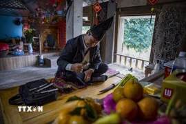 Thầy Mo của vùng Mường Thàng huyện Cao Phong làm lễ trước bàn thờ tổ tiên xin phép thần linh, thổ công thổ địa để mời ông bà tổ tiên về ăn Tết cùng con cháu. (Ảnh Trọng Đạt/TTXVN)