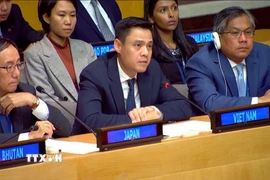 Đại sứ Đặng Hoàng Giang, Trưởng Phái đoàn Việt Nam tại LHQ phát biểu tại lễ kỷ niệm. (Ảnh: TTXVN phát)