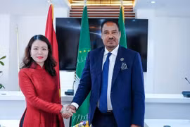 Thứ trưởng Bộ Ngoại giao Nguyễn Minh Hằng và Quốc vụ khanh Bộ Ngoại giao Ethiopia Mesganu Arga. (Ảnh: Báo Quốc tế)