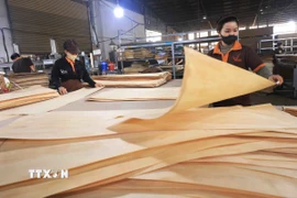 (Ảnh minh họa: Vũ Sinh/TTXVN)