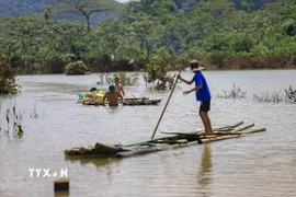 Lực lượng dân quân thôn Thỏi Láo và cán bộ xã Mường Hoa vận chuyển lương thực, nhu yếu phẩm tiếp tế cho các hộ dân bị cô lập. (Ảnh: Trọng Đạt/TTXVN)