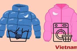 Ảnh minh họa. (Nguồn: Vietnam+)