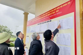 Người dân thôn Phú Đông, xã Lộc Hà, tìm hiểu thông tin người ứng cử Đại biểu Quốc hội và Đại biểu HĐND các cấp nhiệm kỳ 2026 - 2031. (Ảnh: Hoàng Ngà/TTXVN)