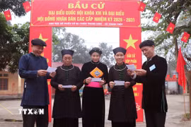 Người dân vùng biên giới Thanh Thủy (Tuyên Quang) hân hoan đi bỏ phiếu bầu cử đại biểu Quốc hội và đại biểu Hội đồng nhân dân các cấp nhiệm kỳ 2026–2031. (Ảnh: Đức Thọ/TTXVN)