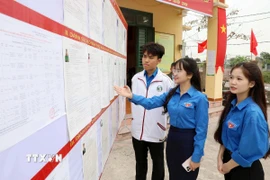 Cử tri trẻ Hưng Yên tìm hiểu tiểu sử các ứng cử viên trước giờ bỏ phiếu. (Ảnh: Thế Duyệt/TTXVN)
