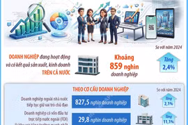 Tổng điều tra kinh tế 2026: Doanh nghiệp tiếp tục là động lực tăng trưởng