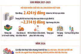 Chăm lo lâu dài cho nạn nhân, gia đình nạn nhân chất độc da cam/dioxin
