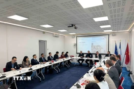 Đoàn Việt Nam làm việc trực tiếp với đại diện các doanh nghiệp Pháp thông qua sự kết nối của MEDEF. (Ảnh: Ngọc Hiệp/TTXVN)