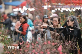 Người dân dạo chợ hoa tham quan, mua sắm ngày giáp Tết. (Ảnh: Minh Quyết/TTXVN)