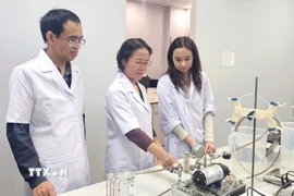 Giáo sư-Tiến sỹ Trần Thị Việt Nga, Viện trưởng Viện Công nghệ cao Việt Nhật, Giảng viên cao cấp Khoa Kỹ thuật Môi trường, Trường Đại học Xây dựng Hà Nội (đứng giữa) đang hướng dẫn các nghiên cứu sinh. (Ảnh: TTXVN phát)