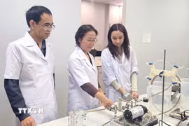 Giáo sư-Tiến sỹ Trần Thị Việt Nga, Viện trưởng Viện Công nghệ cao Việt Nhật, Giảng viên cao cấp Khoa Kỹ thuật Môi trường, Trường Đại học Xây dựng Hà Nội (đứng giữa) đang hướng dẫn các nghiên cứu sinh. (Ảnh: TTXVN phát)