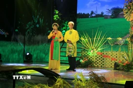 Thí sinh dự thi vòng thi “Cất cánh” của Chương trình Tài tử miệt vườn mùa 3 tại Đồng Tháp. (Ảnh: Nhựt An/TTXVN)