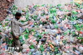Công nhân làm việc tại nhà máy xử lý rác thải nhựa ở Lahore, Pakistan. (Ảnh: THX/TTXVN)