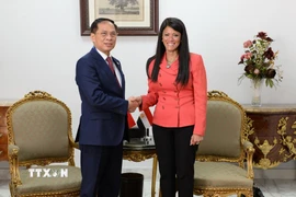 Phó Thủ tướng, Bộ trưởng Ngoại giao Bùi Thanh Sơn hội kiến Bộ trưởng Kế hoạch, Phát triển Kinh tế và Hợp tác Quốc tế Ai Cập Rania A. Al-Mashat. (Ảnh: TTXVN phát)