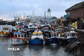 Thuyền đánh cá neo tại cảng ở Scarborough, Anh ngày 4/1/2021. (Ảnh: AFP/TTXVN)