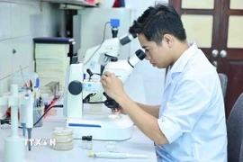 Ảnh minh họa. (Nguồn: TTXVN)