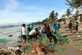 Lực lượng chức năng tham gia giúp dân xã Tịnh Khê (Quảng Ngãi) khắc phục hậu quả sau bão số 13. (Ảnh: Cao Nguyên/TTXVN)