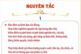 Nguyên tắc kiểm điểm và đánh giá, xếp loại chất lượng đối với tập thể, cá nhân